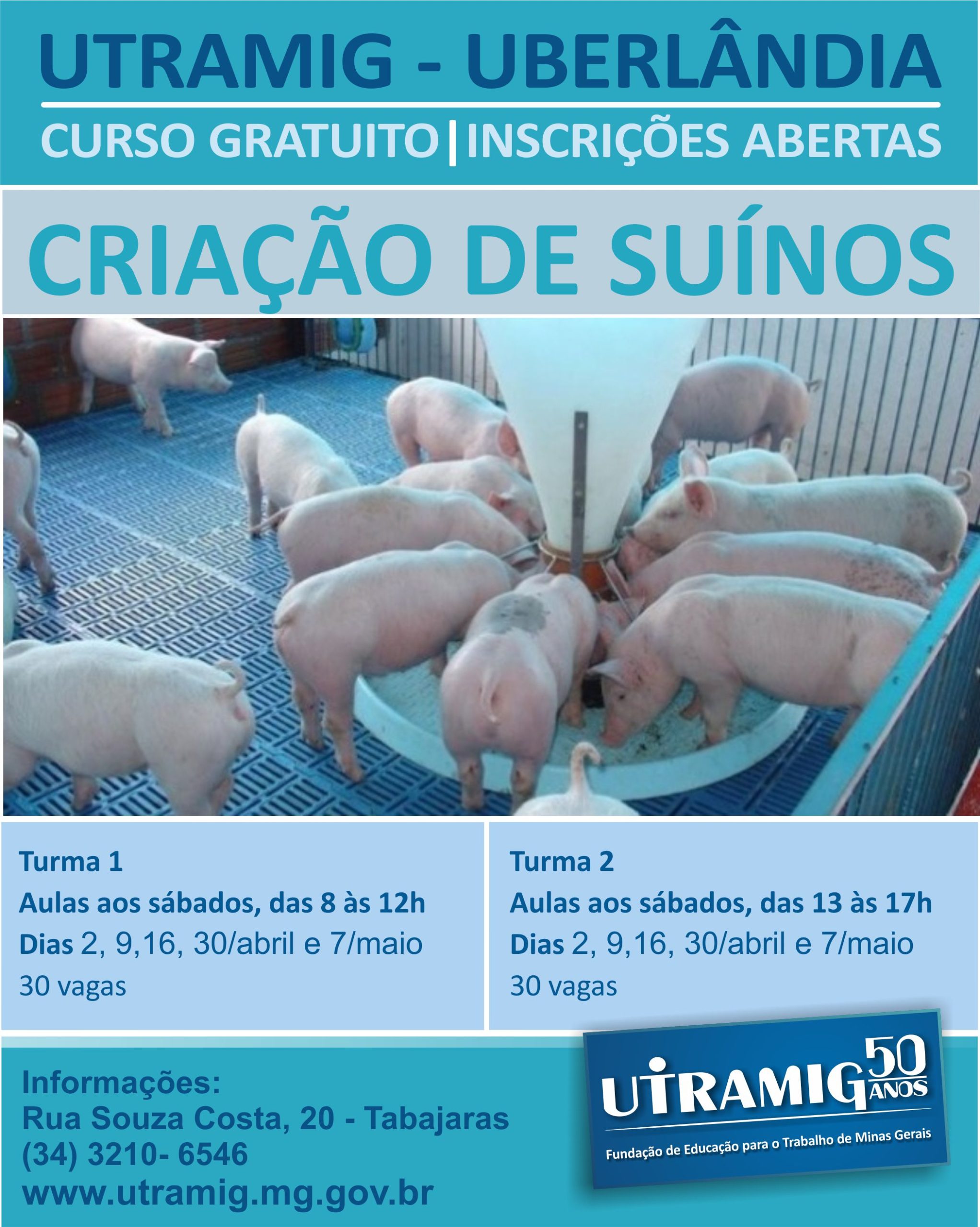 Imagem Porcos Scaled