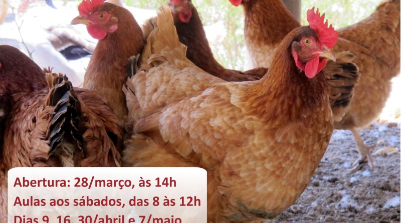 curso criacao de galinhas Uberlandia marco abril